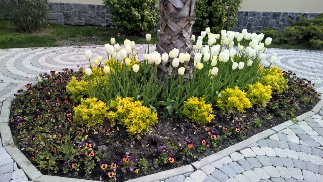 Сочи-парк, или, Русский Диснейленд. Часть 2