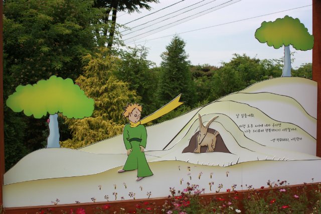 Выставка роз в Сеуле — Туризм и путешествия: фотоотчеты из поездок