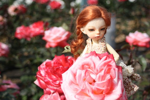 Выставка роз в Сеуле — Туризм и путешествия: фотоотчеты из поездок