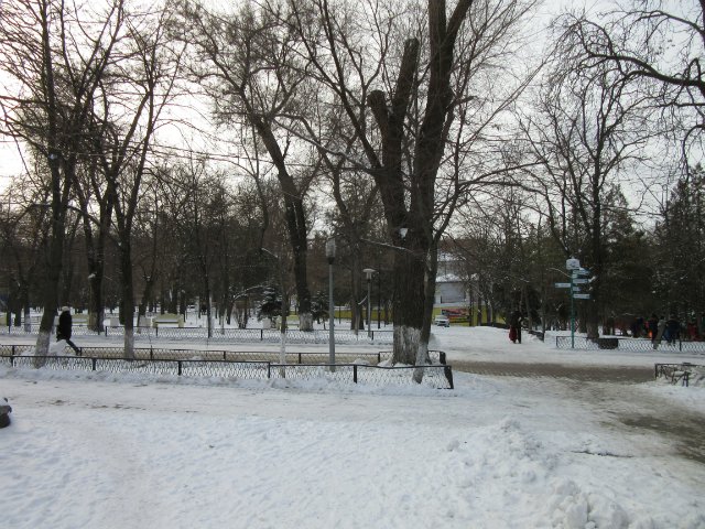 Чем бы заняться юному лорду 30 декабря