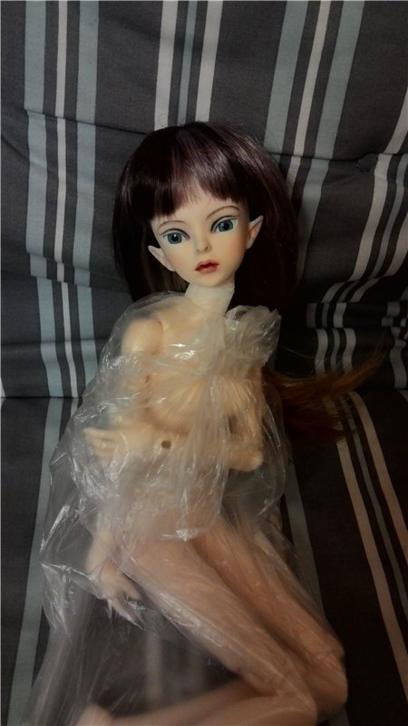 Новый облик Фелис — Куклы Doll Leaves (Долл Ливз): BJD (БЖД) (фото 3)