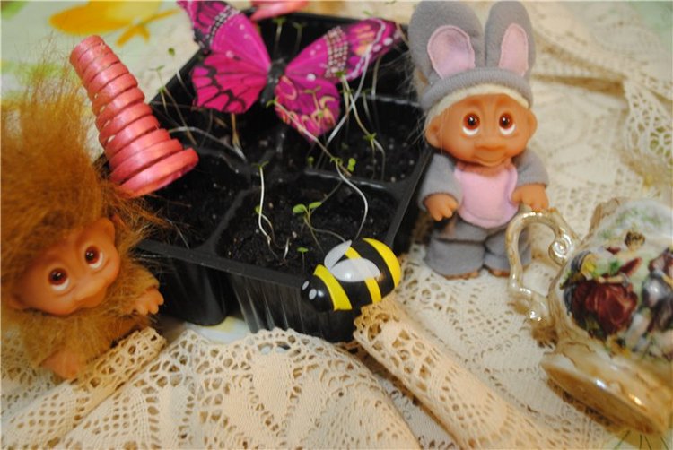 Марселька и тролли рассаду сажали, а бабочка с пчелкой им помогали... По следам конкурса "Моя Весна"