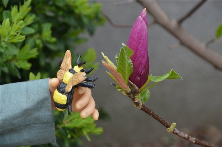 Весна пришла, пчелки прилетели