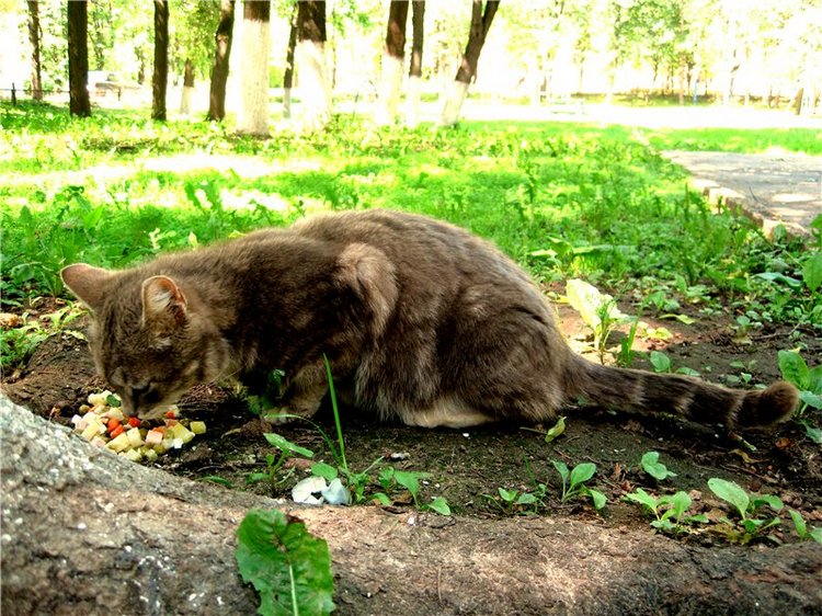 Воспоминания о детстве — Советские винтажные куклы (СССР): Ленигрушка