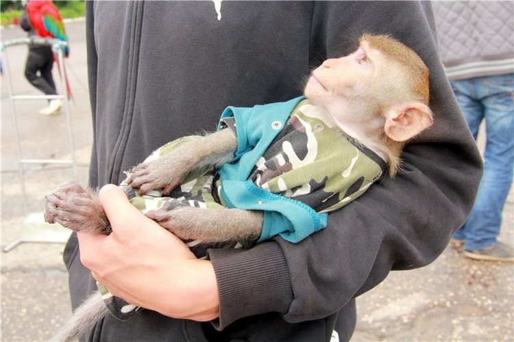 Кашин - город русского сердца. Заключительная часть. День города