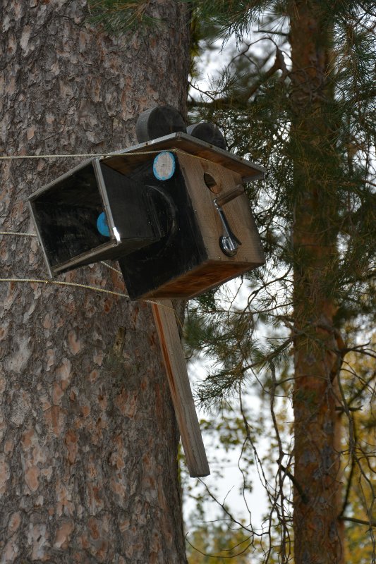 Осенняя прогулка! Irrealdoll (фото 10)