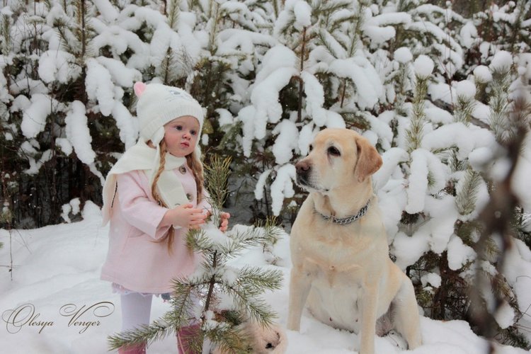 Любите ли вы Зиму так, как люблю ее я? Нэлли, кукла реборн Олеси Венгер (фото 9)