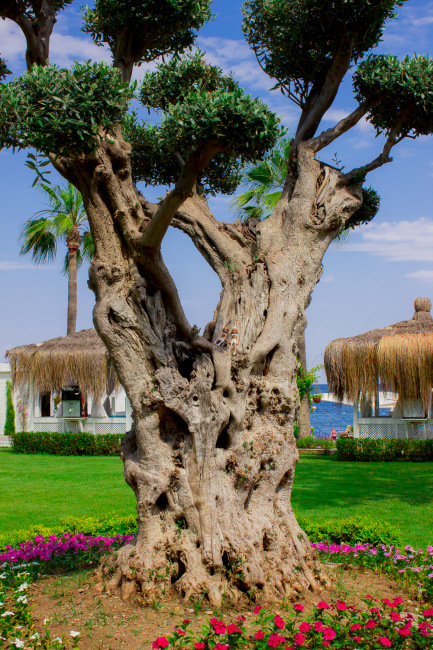 Мышулики в отпуске. Авторские куклы Лидии Снуль. BJTales