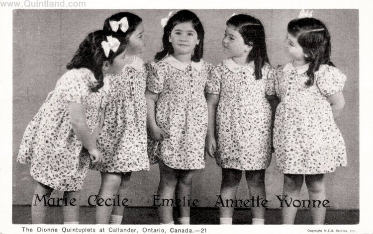 История трагической жизни, ставшая фурором кукольного мира . Часть 3 Заключение