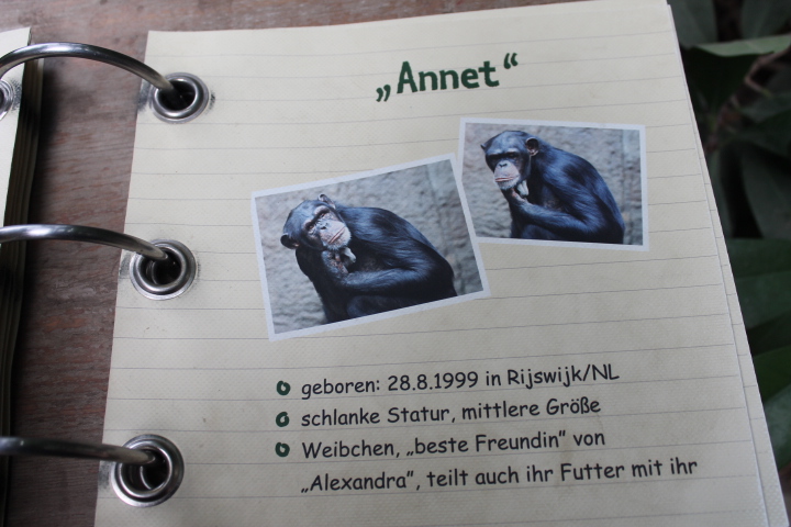 По Германии: зоопарк Лейпцига, часть 3