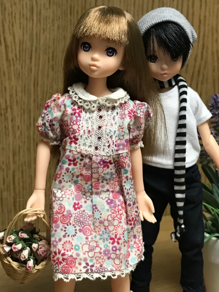 Крошки Руроко — Куклы Momoko и Ruruko (Petworks (фото 5)