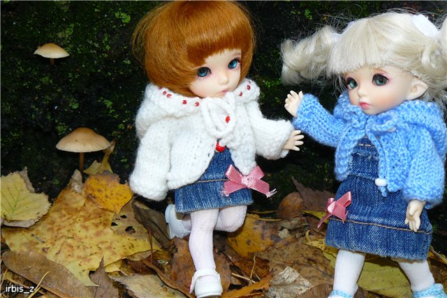 Вот так погуляли или Как у нас появилась кукла БЖД LittleFee Ante Elf