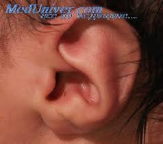 Немножко анатомии: Лепка и роспись кукол-детей