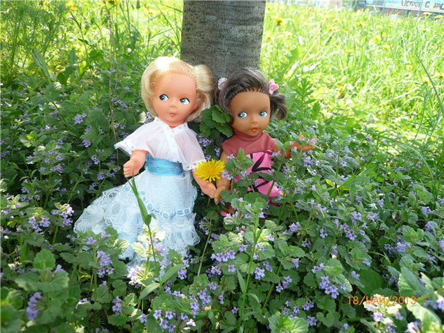 Розочка! Встреча сестренок (фото 4)