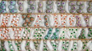 Коллекционер никогда не плюнет в колодец времени или Не покупайте с рук Рубенса, могут подсунуть Рембрандта