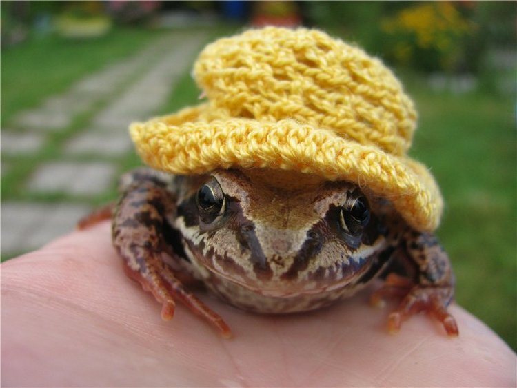 Моя маленькая озорница. Кукла Мариты Винтерс (Marita Winters) | Бэйбики Моя маленькая озорница. Кукла Мариты Винтерс (Marita Winters)