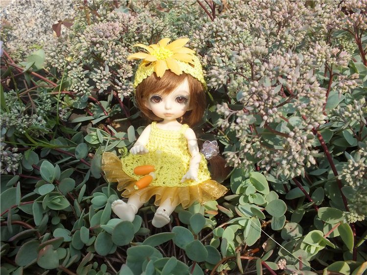 Моя сладкая и очень любимая Зойка.(PukiFee Zoe)