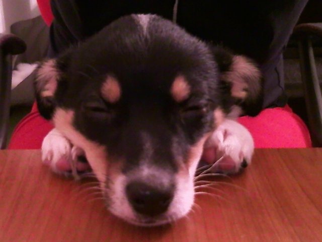 Кусочки моей Греции — Болталка и разговоры обо всем: жизнь