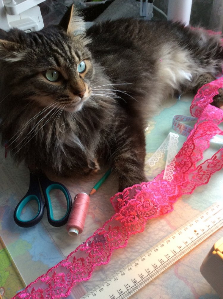 Красотка с глазами цвета лаванды! Новый образ! Волосы, локоны, кудри (фото 9)