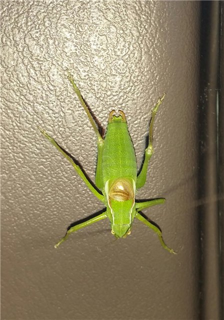 Как мальчишки ездили замараться))))