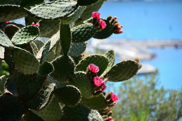 Ницца, Марсель, море и горы