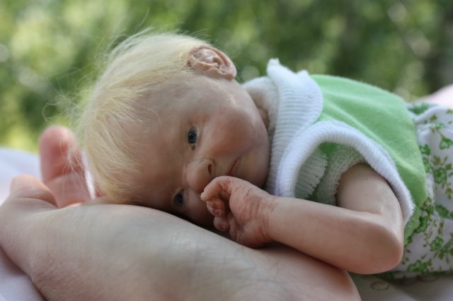 ООАК августа. Мы просыпаемся