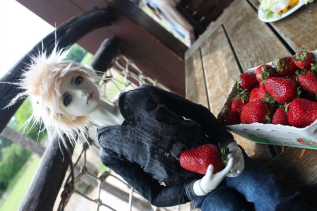 Сказка о Мишеле, BJD часть 2