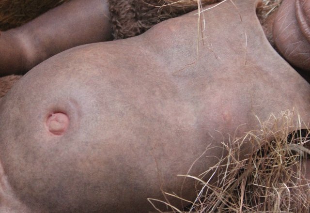 Обезьяныши реборн Элины Кудрявцевой