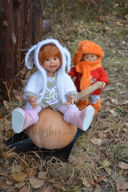 Неугомонные. Вихтели Rosemarie Anna Muller