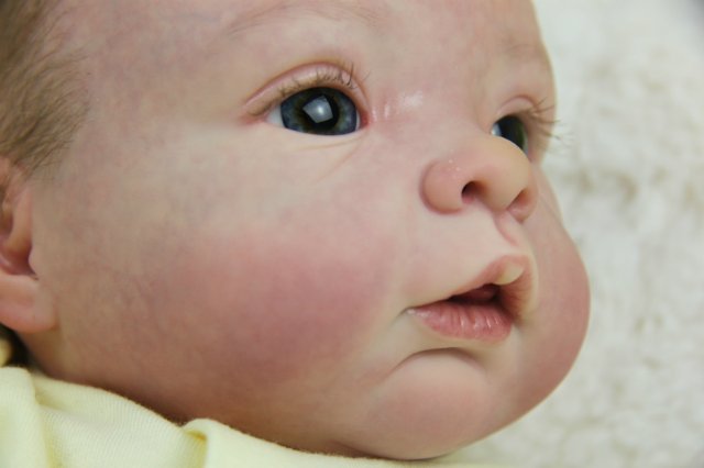 Софийкин! Кукленок реборн Виктории Вишни