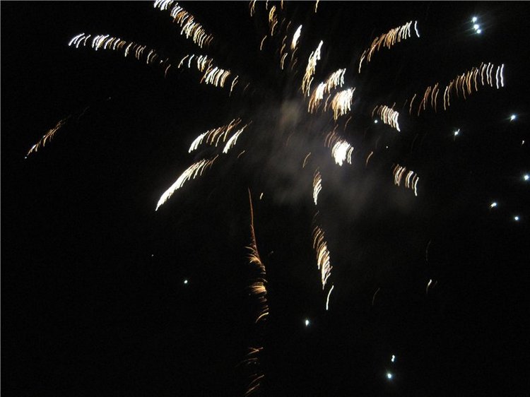 Как мы встречали Новый 2016 год