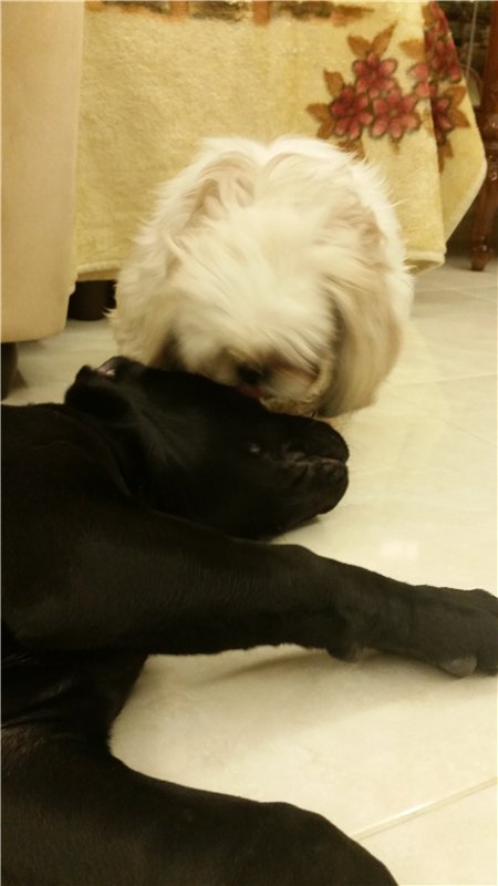 Мое сокровище. Самые любимые дети | Бэйбики Мое сокровище. Самые любимые дети