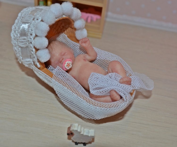 Любимка в румбоксе - как сбываются мечты (фото 5)