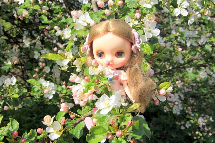 Блайзочки на природе — Оригинальные куклы Blythe (Блайз): Takara (фото 3)