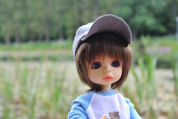 У Московского пруда. Или куда деваются утки (фото 10)