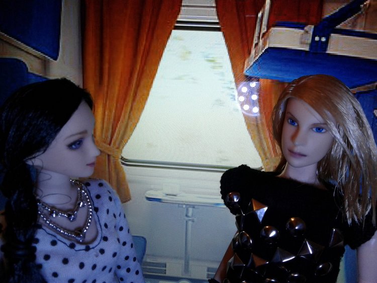 Зимнее солнце. Глава 1. Сказочный поезд