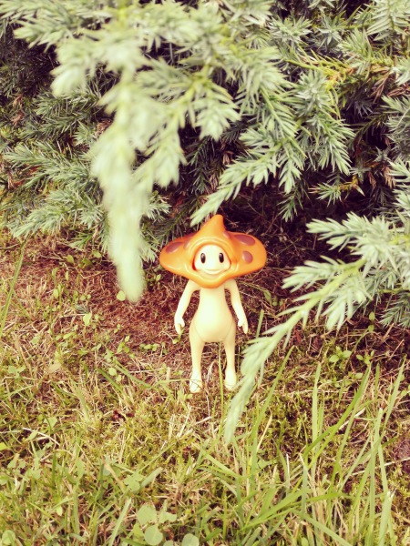 Добро пожаловать в удивительный мир Ванды (фото 4)