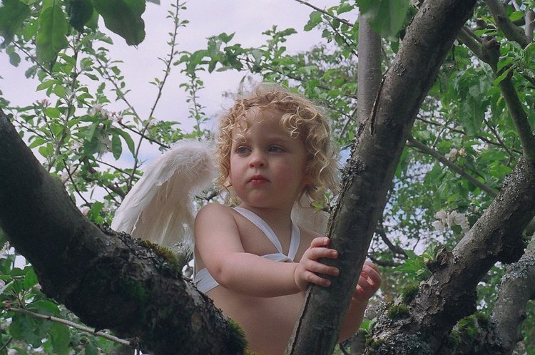 Процесс создания фарфоровых кукол - Джинн Гросс (Jeanne Gross). Часть первая - младенцы