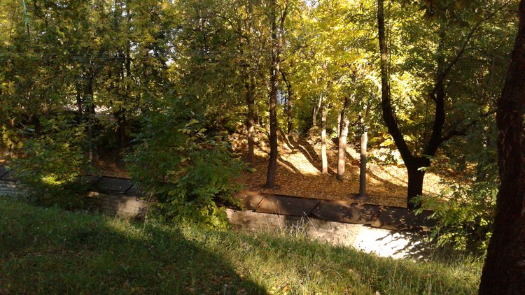 Зимнее солнце. Глава 9. Последняя остановка