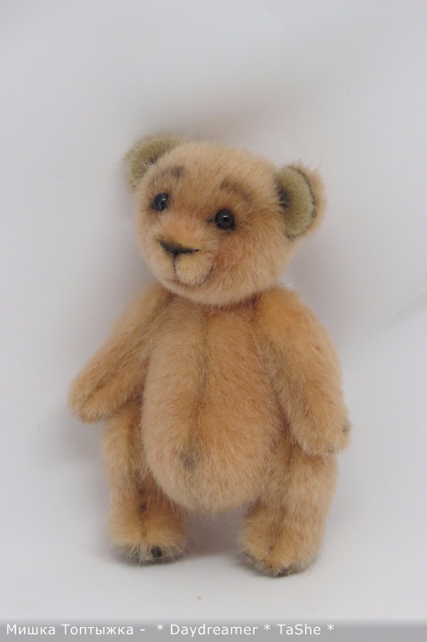 Позитивный мишка по имени Топтыжка (фото 3)