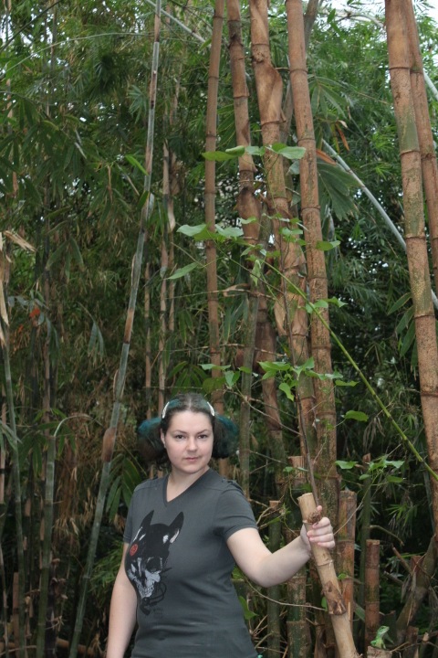 По Германии: зоопарк Лейпцига, часть 2