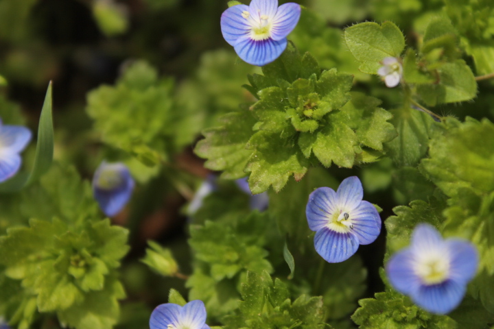 По Германии: весна в Лейпциге