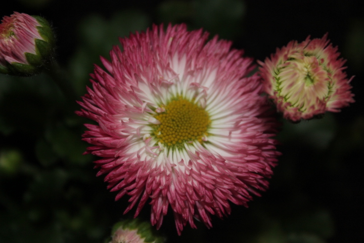 По Германии: весна в Лейпциге