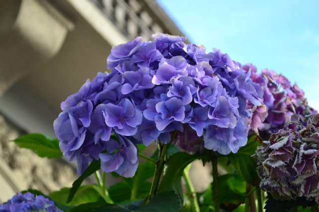 Опять хочу - нет не в Париж, а в Баварию (фото 4)