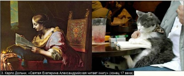 «Мяу» особого назначения или Весенняя кошкотерапия