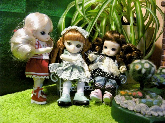 В моем новом домике новоселы