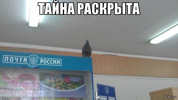 Почта России доставляет))) | Бэйбики Почта России доставляет)))