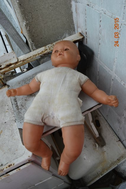 Неожиданный подарочек. Что делать (фото 4)