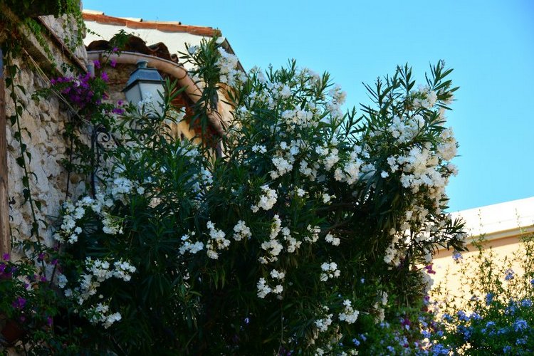 Ницца, Марсель, море и горы