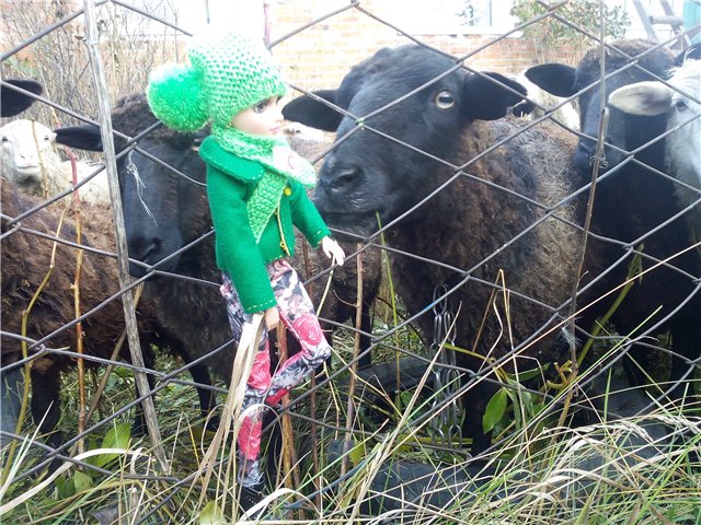 Моя Родина-Кузбасс или прогулки Тристен